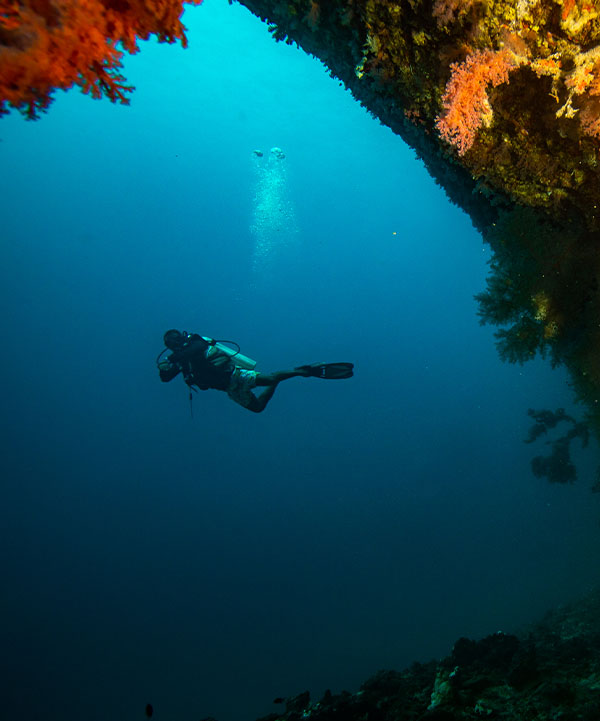 underwater-1